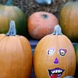 Calkins Farm Stand photo