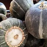 Calkins Farm Stand photo