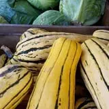 Calkins Farm Stand photo