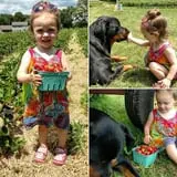 Grant's Berry Patch photo