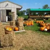 Grant's Berry Patch photo