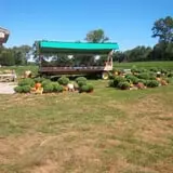 Grant's Berry Patch photo