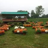 Grant's Berry Patch photo