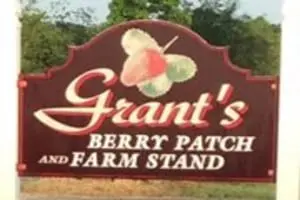 Grant's Berry Patch