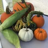 Carlson Orchards photo