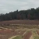 Carlson Orchards photo