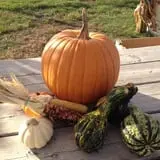 Carlson Orchards photo