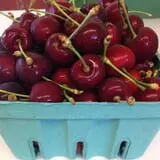 Carlson Orchards photo