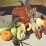Carlson Orchards photo