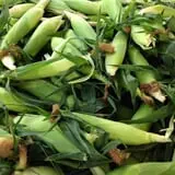 Carlson Orchards photo