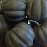 Carlson Orchards photo
