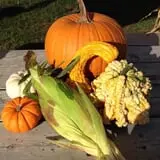 Carlson Orchards photo