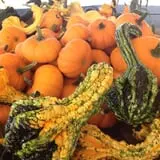 Carlson Orchards photo