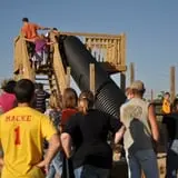 Kerby Farm Pumpkin Patch photo