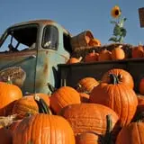 Kerby Farm Pumpkin Patch photo