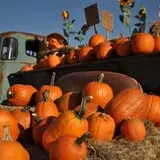 Kerby Farm Pumpkin Patch photo