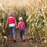 Kerby Farm Pumpkin Patch photo
