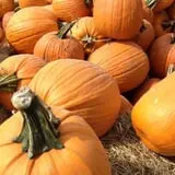 Kerby Farm Pumpkin Patch photo