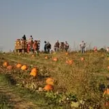 Kerby Farm Pumpkin Patch photo