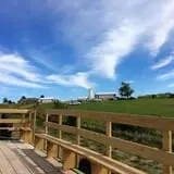 Kerby Farm Pumpkin Patch photo