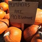 Kerby Farm Pumpkin Patch photo