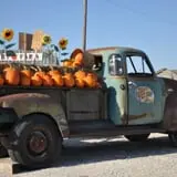 Kerby Farm Pumpkin Patch photo