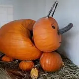 Kerby Farm Pumpkin Patch photo