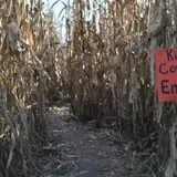 Kerby Farm Pumpkin Patch photo