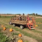 Kerby Farm Pumpkin Patch photo