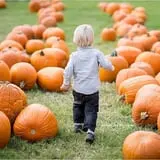 Kerby Farm Pumpkin Patch photo