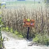 Kerby Farm Pumpkin Patch photo