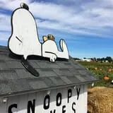Kerby Farm Pumpkin Patch photo