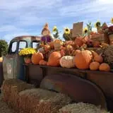 Kerby Farm Pumpkin Patch photo