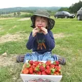 Ochs Orchard photo