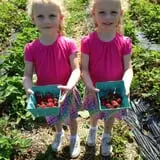 Ochs Orchard photo