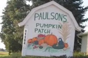 Paulson's Pumpkin Patch