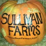 Sullivan Farms Pumpkin Patch photo