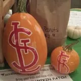 Sullivan Farms Pumpkin Patch photo