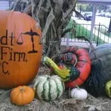 Sullivan Farms Pumpkin Patch photo