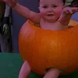 Sullivan Farms Pumpkin Patch photo