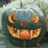 Sullivan Farms Pumpkin Patch photo