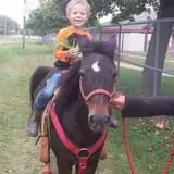 Sullivan Farms Pumpkin Patch photo