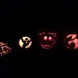 Sullivan Farms Pumpkin Patch photo