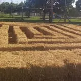 Sullivan Farms Pumpkin Patch photo