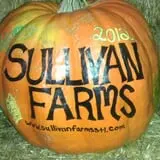 Sullivan Farms Pumpkin Patch photo
