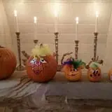 Sullivan Farms Pumpkin Patch photo