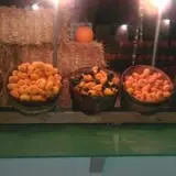 Sullivan Farms Pumpkin Patch photo