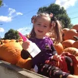 Sullivan Farms Pumpkin Patch photo