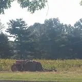 Sullivan Farms Pumpkin Patch photo