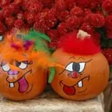 Sullivan Farms Pumpkin Patch photo
